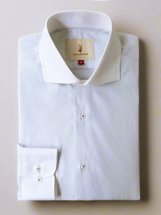 Pin Striped Shirt